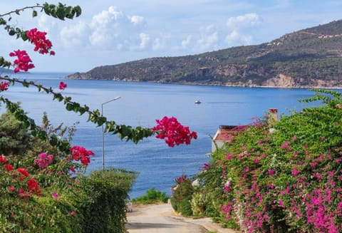 Villa Zeytin Villa in Kalkan Belediyesi