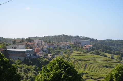 Casa Anna Bed and Breakfast in Castellina in Chianti