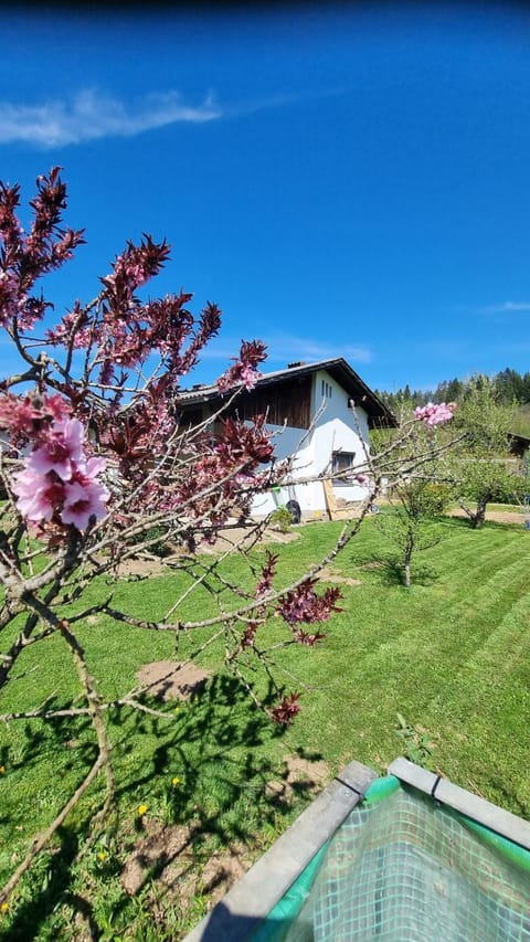 Property building, Garden, Garden