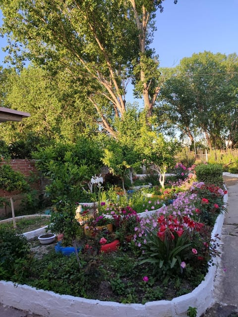Garden, Garden view