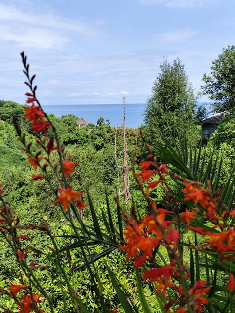 Natural landscape, Sea view