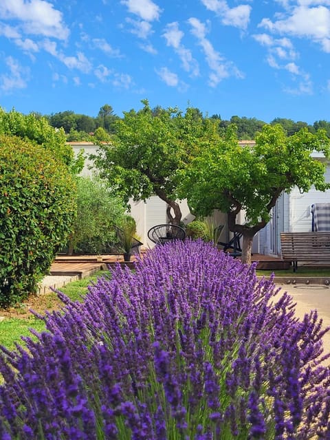 Le Cabanon de Marie Bed and Breakfast in Apt