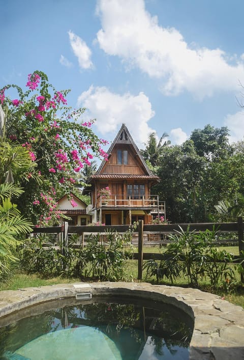 Property building, Garden view