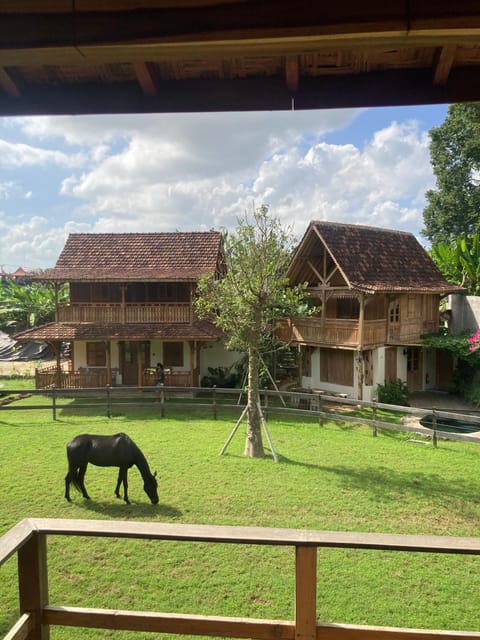 Garden, View (from property/room), Garden view