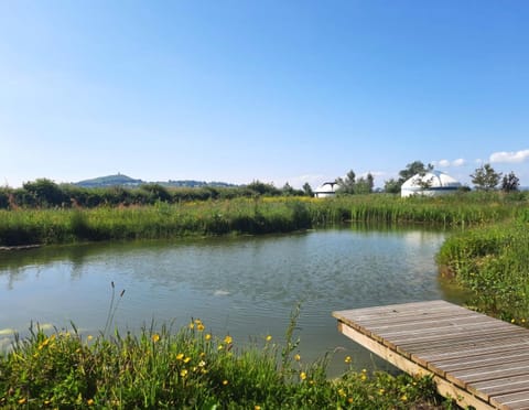 Natural landscape, Garden view, Lake view, Swimming pool