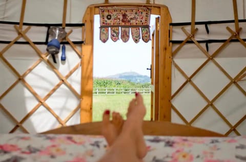 Glastonbury Wild Glamping Luxury tent in Glastonbury