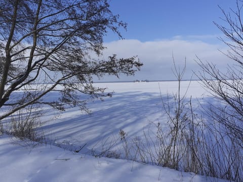 Natural landscape, Winter, Area and facilities