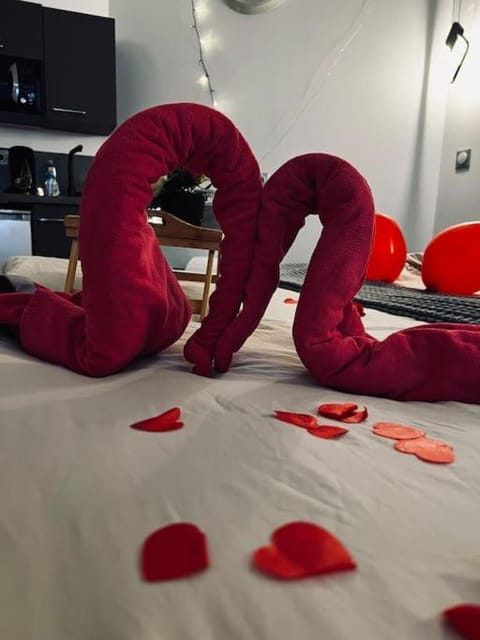 L'Olympe Apartment in Clermont-Ferrand