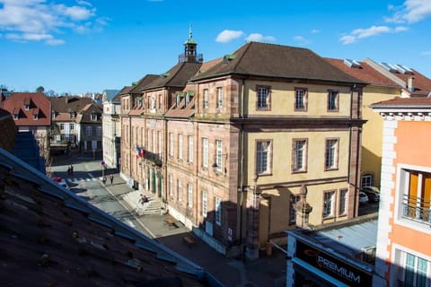 T3 plein de charme au cœur de Montbéliard Apartment in Montbéliard