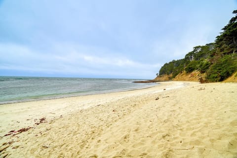 Moss Beach Oceanfront Retreat about 20 Mi to San Fran! House in Moss Beach