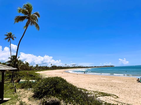 Natural landscape, Beach, Sea view