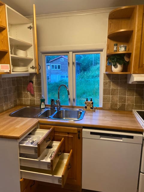 Kitchen or kitchenette, dishwasher, oven, stove