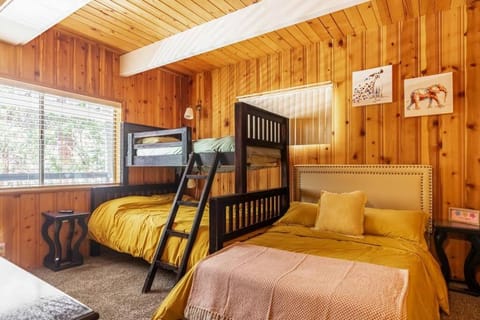 Bed, Photo of the whole room, Bedroom, bunk bed