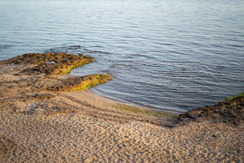 Beach, Sea view