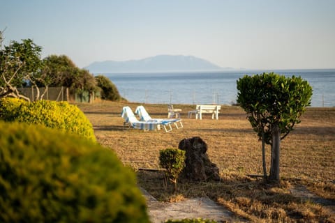 Beach, Sea view, sunbed