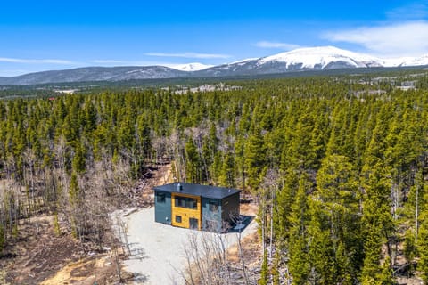 Mountain Getaway about 3 Mi to Fairplay Beach House in Park County