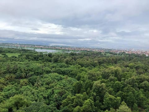 Natural landscape, Bird's eye view, Lake view, River view