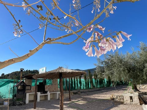 Casa de Antonio con piscina privada House in Region of Murcia