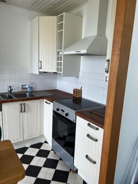 Kitchen or kitchenette, dishwasher, stove