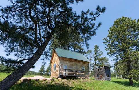 Green Mountain Cabin Casa in Hill City