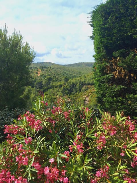 Villa Romarin Villa in La Cadière-d'Azur