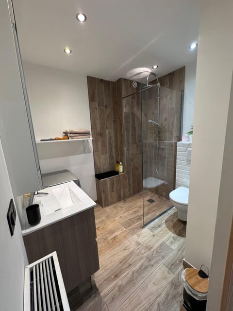 Shower, Toilet, Bathroom, towels