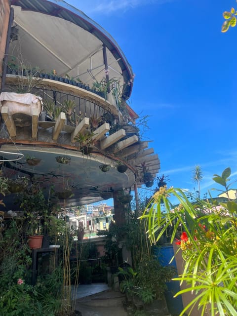 Balcony/Terrace, Garden view