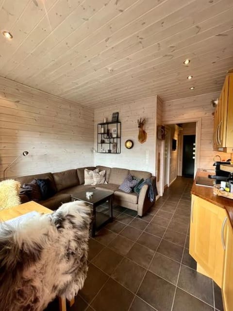 Cozy Apartment near alpine and trails in Sirdal Apartment in Rogaland