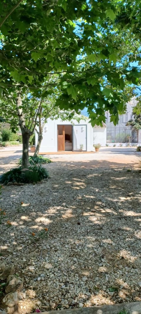 Property building, Garden, Garden view