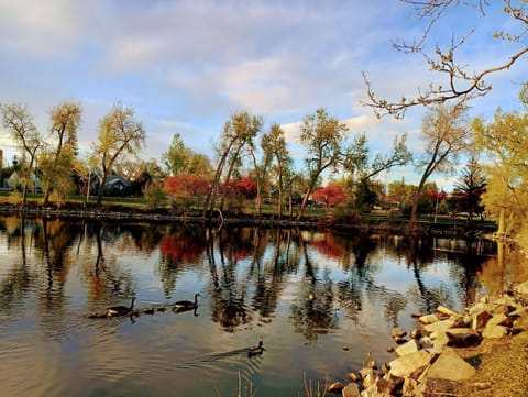 Natural landscape, Aqua park