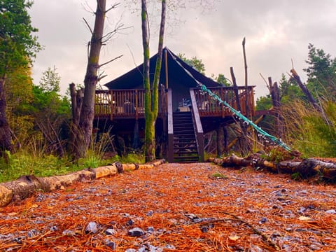 Luxury tree top glamping safari tent Luxury tent in County Kerry