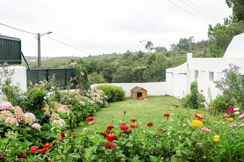 Property building, Garden, Garden view