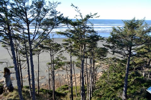 Day, Natural landscape, Beach, Sea view