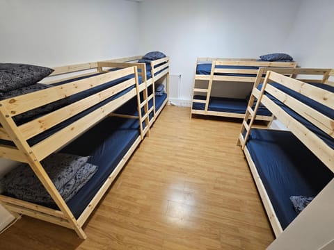 Bed, Photo of the whole room, Bedroom, bunk bed