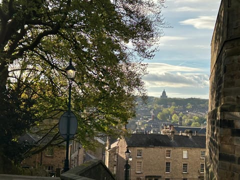 Neighbourhood, Natural landscape, City view