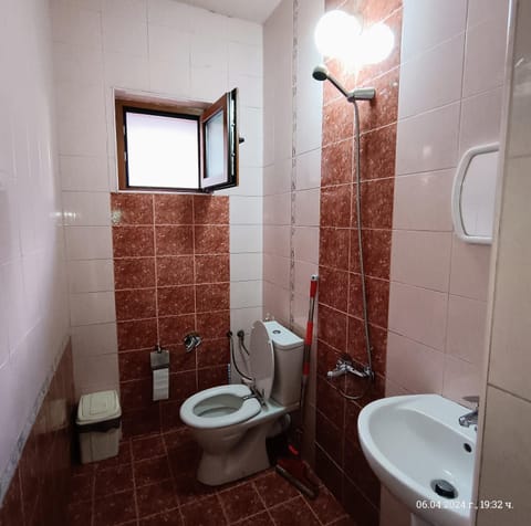 Shower, Toilet, Bathroom, bidet