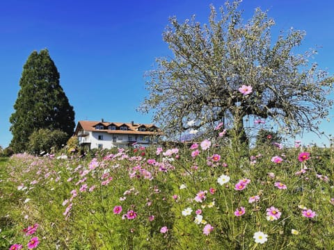 Property building, Spring, Natural landscape, Garden view