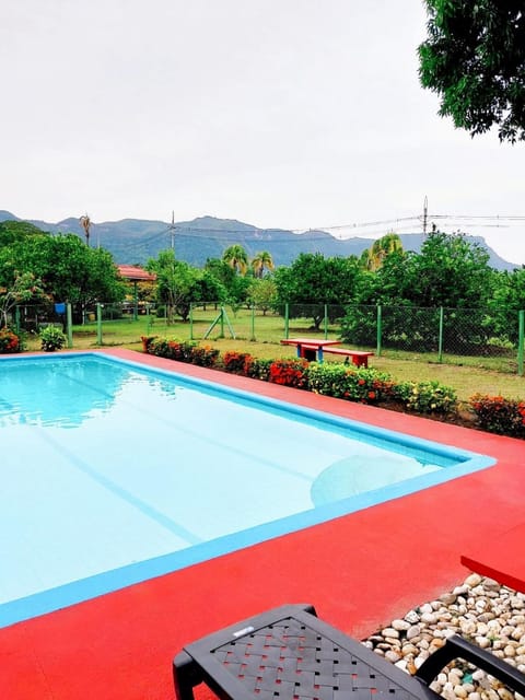 Garden, Swimming pool