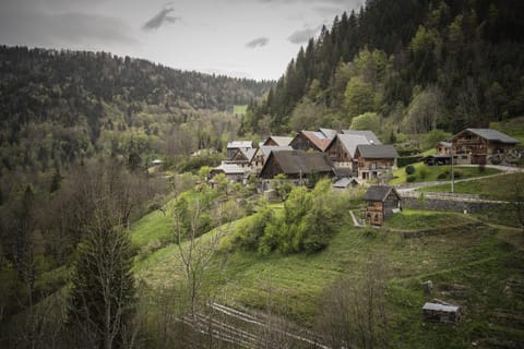 Venez Chez Vous Mountain View House in Talloires