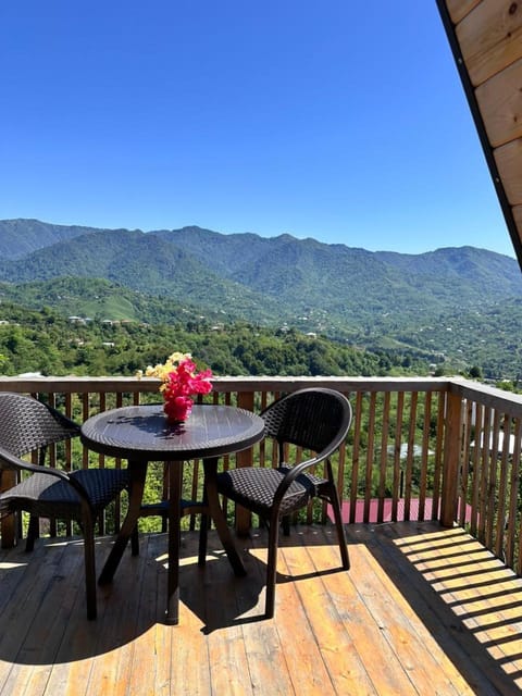 Sweet Cottage Apartment in Adjara, Georgia