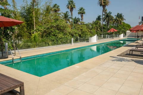 Pool view, Swimming pool, sunbed