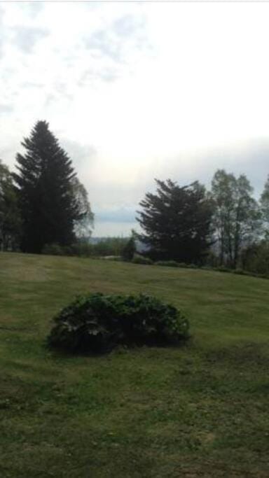 Homestead cabin Maison in Homer