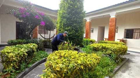 Property building, Garden view