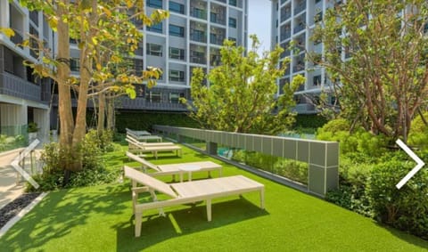 Patio, Day, Garden, Balcony/Terrace, Garden view, sunbed