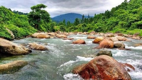 Nearby landmark, River view