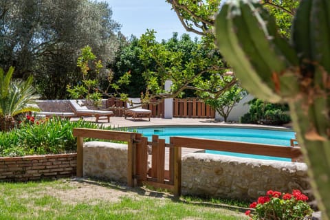 Spring, Day, Garden, Garden view, Pool view, Swimming pool, sunbed