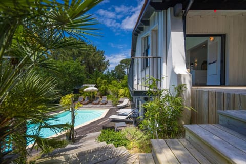 Patio, Garden, Garden view