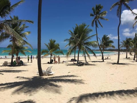 Beach, sunbed