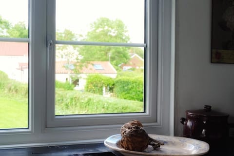 Kitchen or kitchenette, Garden view