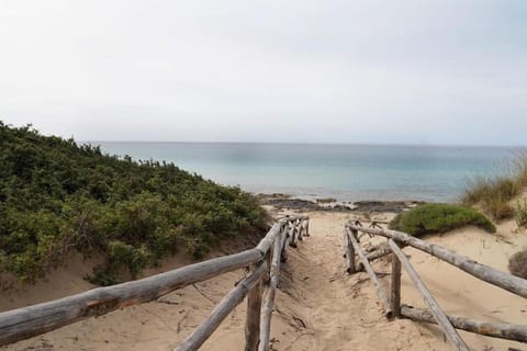 Nearby landmark, Day, Natural landscape, Beach